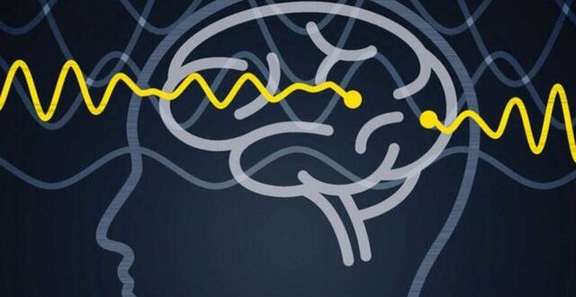کشف یک مکانیسم جدید اتصال در مغز انسان