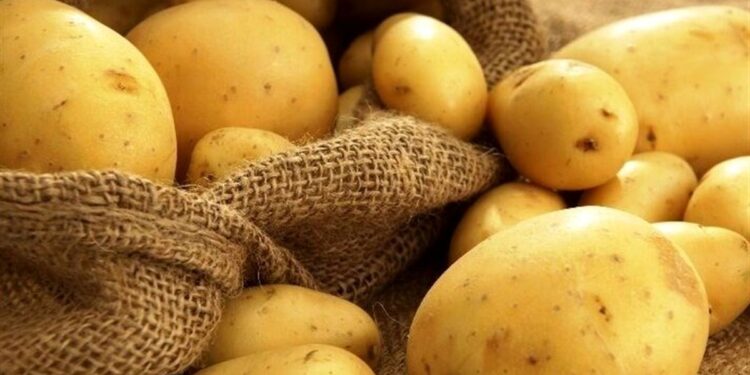 ناترازی سیب زمینی و سران قوا