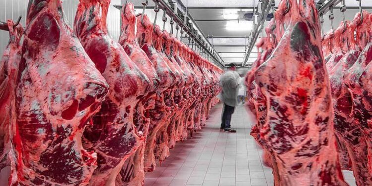 بازار گوشت رها شده است؛ از ۷۰۰ هزار تومان در تهران تا ۵۰۰ هزار تومان در لرستان