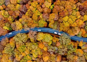 تصاویری از گوشه کنار جهان