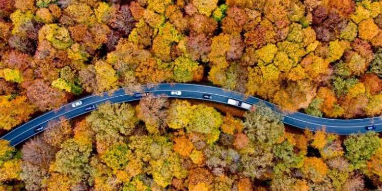 تصاویری از گوشه کنار جهان