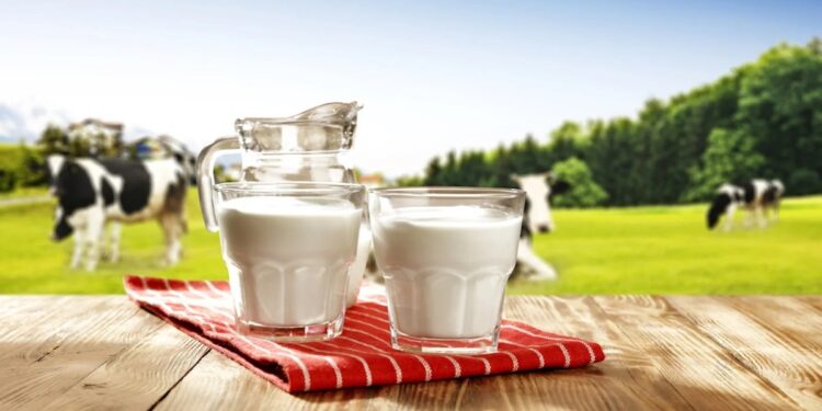 قیمت هر کیلو شیرخام ۲۳ هزار تومان تعیین شد