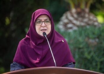 سخنگوی دولت: آماده همکاری با مجلس برای احیای لایحه امنیت زنان هستیم