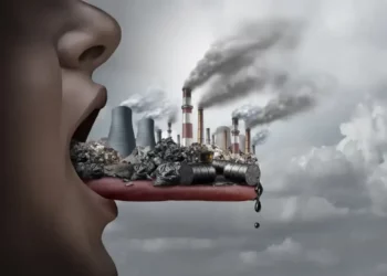 در روزهای آلودگی هوا چه چیزهایی بخوریم و بنوشیم و از کدام مواد غذایی فرار کنیم؟