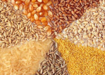 سقف جدید نرخ ارز نهاده‌های دام و طیور اعلام شد