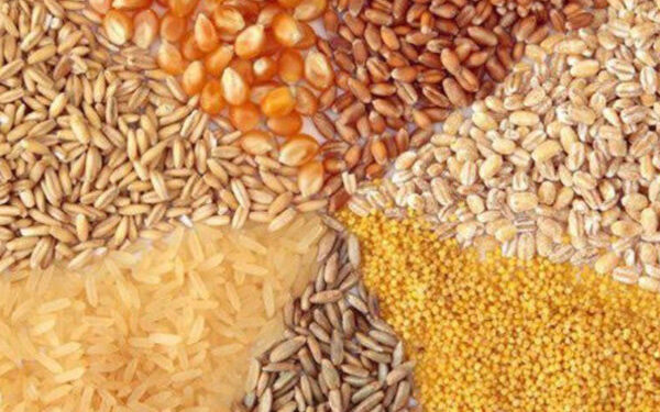 سقف جدید نرخ ارز نهاده‌های دام و طیور اعلام شد