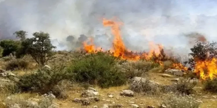 آتش دوباره به جان جنگل‌های کارمزد سوادکوه افتاد