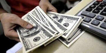 کاهش ۲ میلیارد دلاری تامین ارز کشور/ اثرات مکانیسم ماشه؟