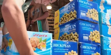 گزارش الجزیره از فشار تحریم ها به فروش گردو در ایران / افزایش 50 درصدی هزینه ها