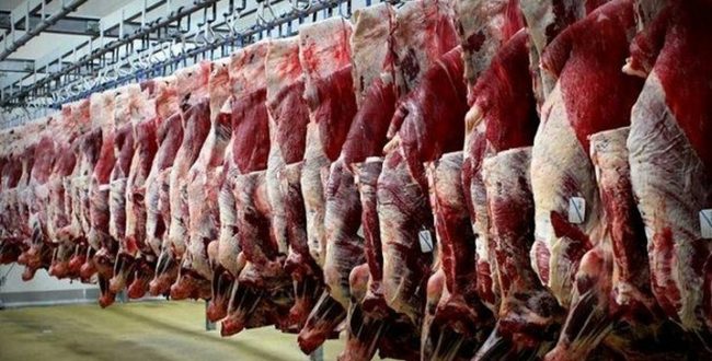 قیمت گوشت نزولی می‌شود/ واردات گوشت از رومانی و استرالیا از هفته آینده