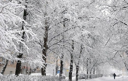 هشدار مدیریت بحران برای بارش شبانه‌روزی برف در تهران/ آماده‌باش کامل دستگاه‌های خدماتی و پلیس
